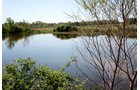 Property photo 9 - REAL ESTATE AUCTION - 126+/- ACRES OFFERED IN 4 TRACTS IN GREENE COUNTY, INDIANA
